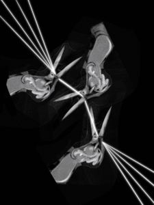 Numéro 46 MYTHOLOGIE